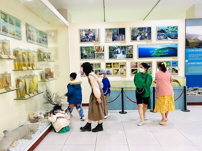 Khám phá top 5 bảo tàng tại Đà Nẵng thu hút khách du lịch nhất